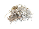 CURLY MOSS 40gr BLANC ANTIQUE