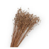 LINO GRASS 80gr ROSE CLAIR